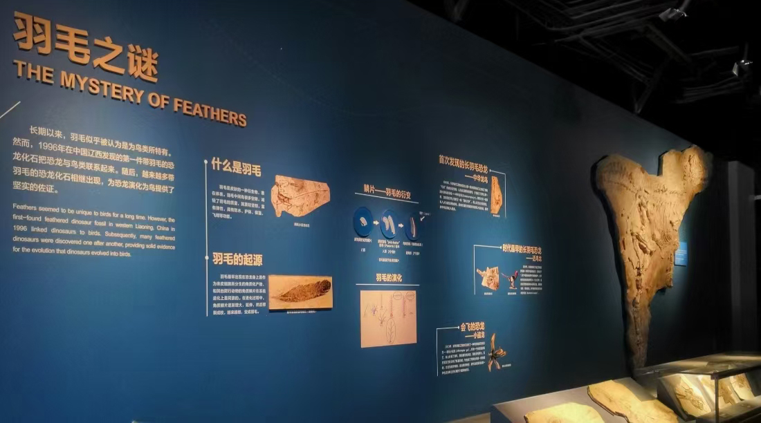 自贡恐龙博物馆二号馆(图4)